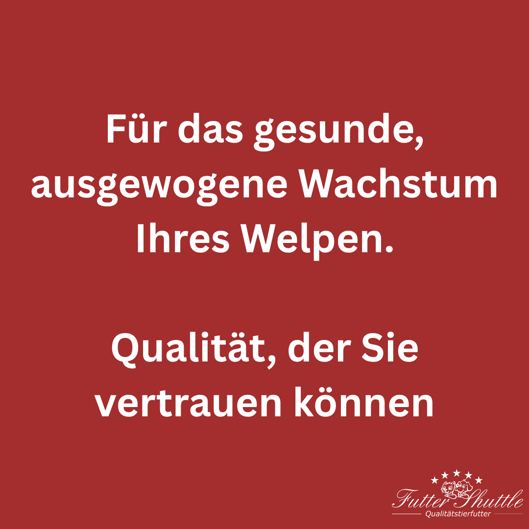 Super Premium Welpenfutter 15kg für große Rassen - Mit hochwertigen Zutaten optimal groß werden