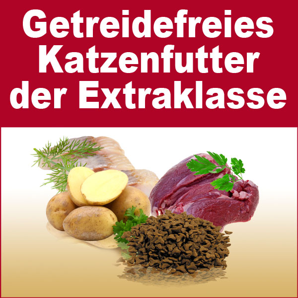 Angebot Katzenfutter | Katzen Trocken- und Nassfutter als Sparpaket und in Spitzenqualität. Mit 3kg Super Premium Katzenfutter Trockenfutter Dreierlei und 6 x 400g Dosen in der höchsten Güte auf dem Markt als Sparpaket. Hergestellt in Deutschland.