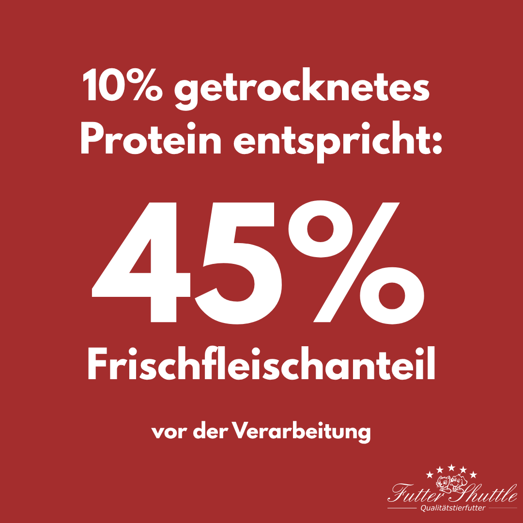 Kitten Trockenfutter 3kg in der höchsten Qualität - Super Premium Kitten Trockenfutter der Extraklasse - Mit besten Zutaten optimal groß werden. Spitzenqualität von Futter Shuttle