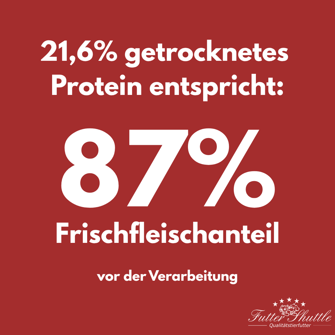 Plus 10 - Getreidefreies Katzenfutter - Eines der hochwertigsten Trockenfutter für Katzen ohne Getreide - Getreidefreies Katzenfutter in Spitzenqualität von Futter Shuttle