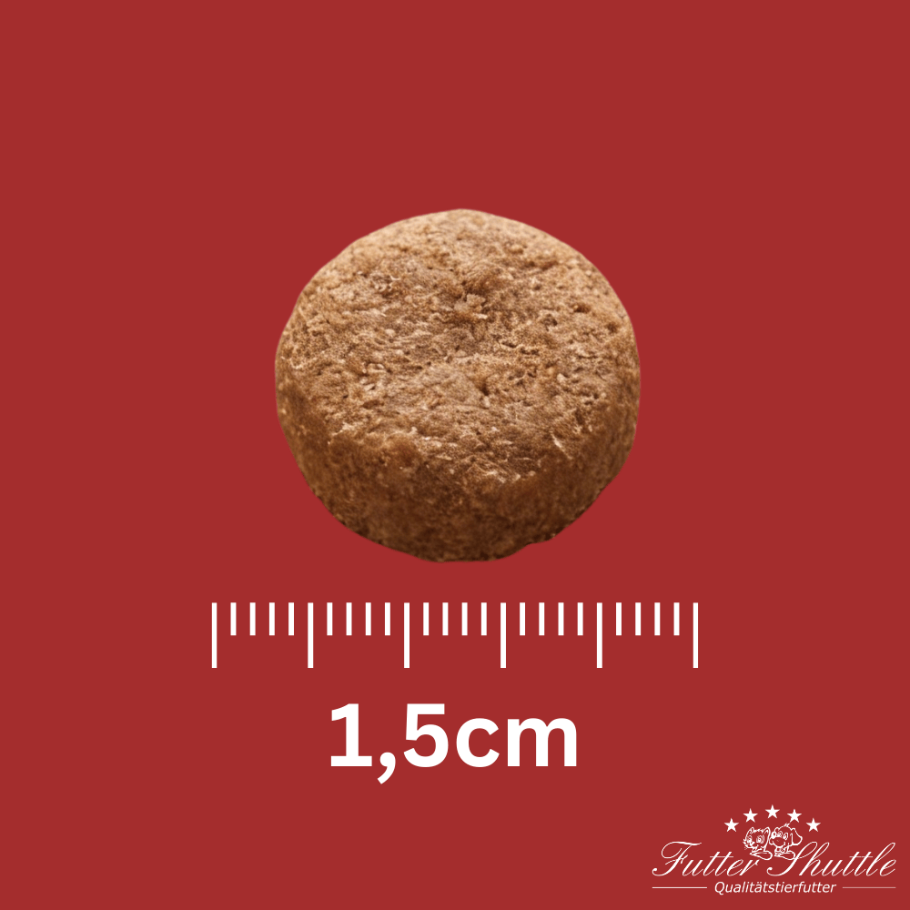 Hundefutter für Welpen großer Rassen – Premium Trockenfutter für gesundes Wachstum